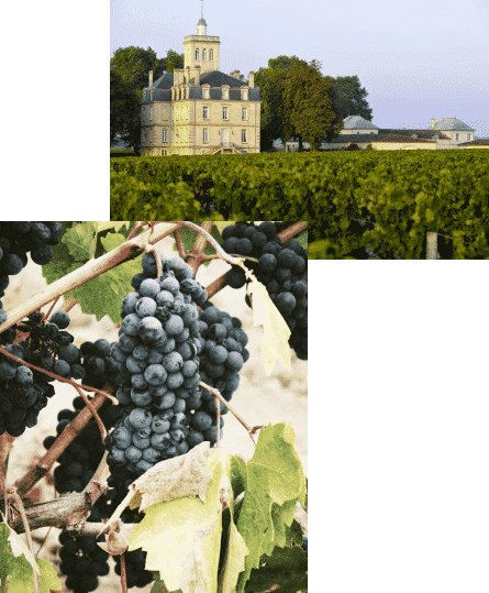 wine-tour-medoc-sur-mesure-pascal