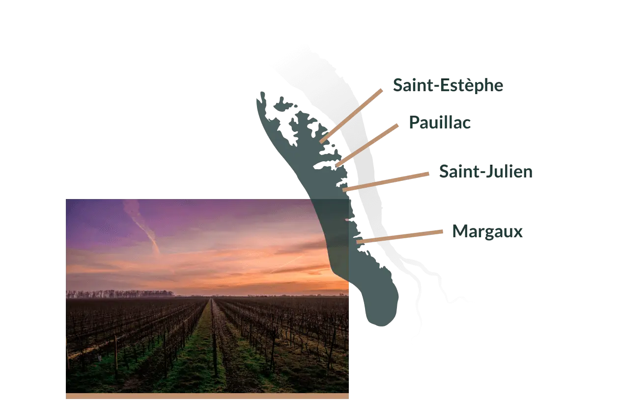 Carte wine tour medoc